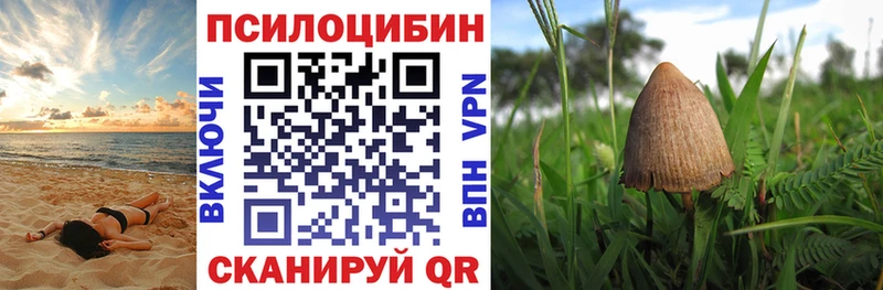 Галлюциногенные грибы прущие грибы  Нюрба 